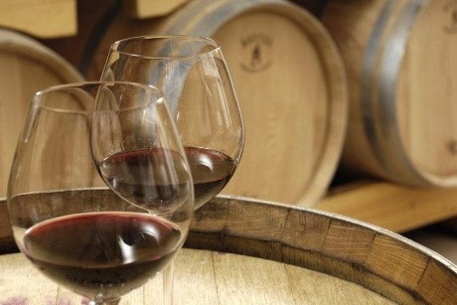 Morning Wine Tour to Chateauneuf du Pape from Avignon - Who will get the most from this morning