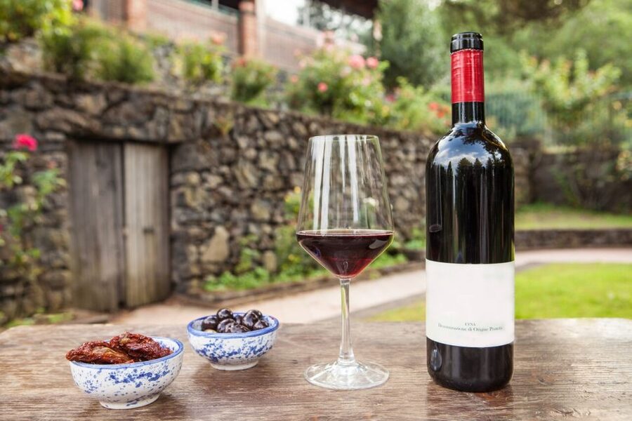 Mount Etna: Winery Tour and Tasting - Arriving at Gambino Winery at 900 meters