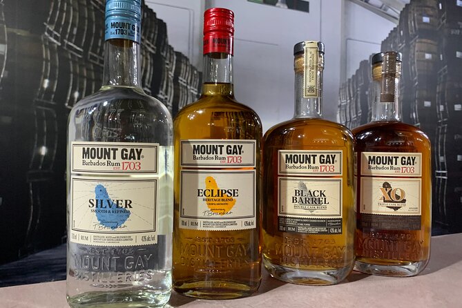 Mount Gay Signature Rum Tasting Experience - Is $36 good value for one hour?