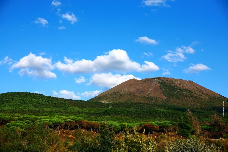 Mount Vesuvius 4-Hour Volcano Tour with Wine Tasting - Lunch and two small glasses of wine