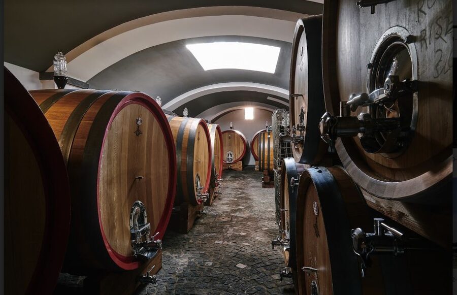 Mount Vesuvius: Vineyard Tour with Wine Tasting and Lunch - Getting There From Naples, Pompeii, or the Train