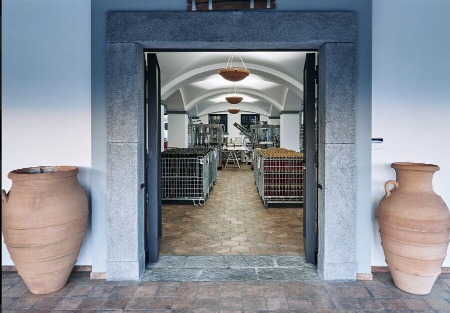 Mount Vesuvius: Vineyard Tour with Wine Tasting and Lunch - Timing, Group Size, and Who Will Like It