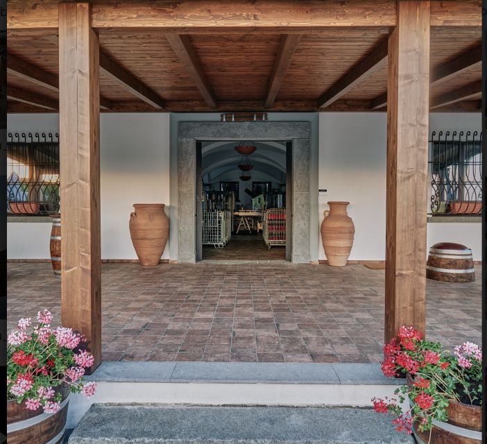 Mount Vesuvius: Vineyard Tour with Wine Tasting and Lunch - Is $65 a Good Value?