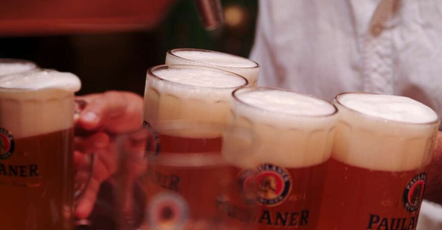 Munich's Beer Halls and Breweries: 3-Hour Guided Tour - Starting in Marienplatz, Munich’s natural stage