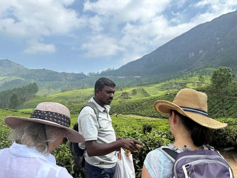 Munnar: Tea trail, Tea Factory, and Tea Tasting Tour - Why this tea tour works better than a quick photo stop
