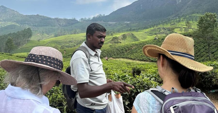 Munnar: Tea trail, Tea Factory, and Tea Tasting Tour - Moving from the plantation to Lockhart Factory