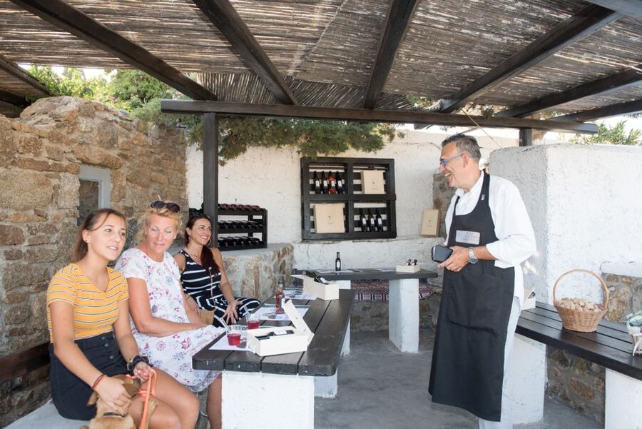 Mykonos: Wine Tasting at a Mykonian Farm - The drive from Hora toward Ano Mera