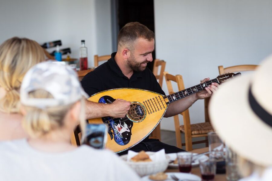 Mykonos: Winery Vineyard Experience with Food & Wine Tasting - Should you book the Mykonos winery experience?
