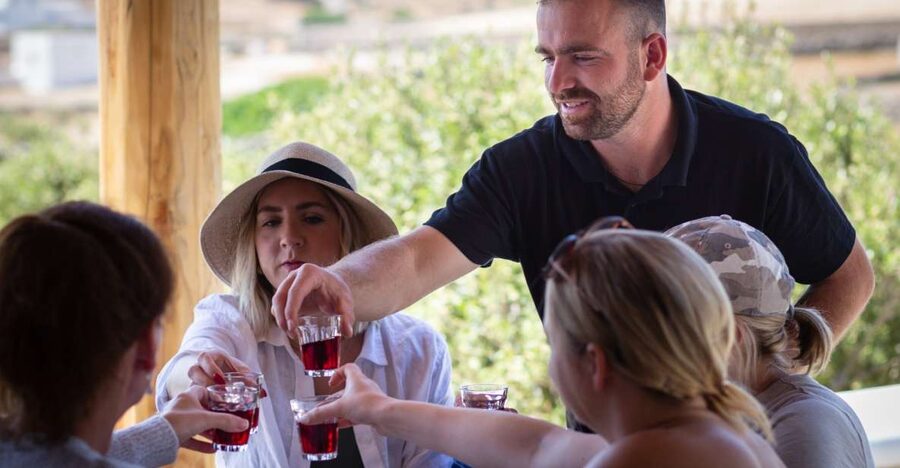 Mykonos: Winery Vineyard Experience with Food & Wine Tasting - From grape to bottle, with old methods in view