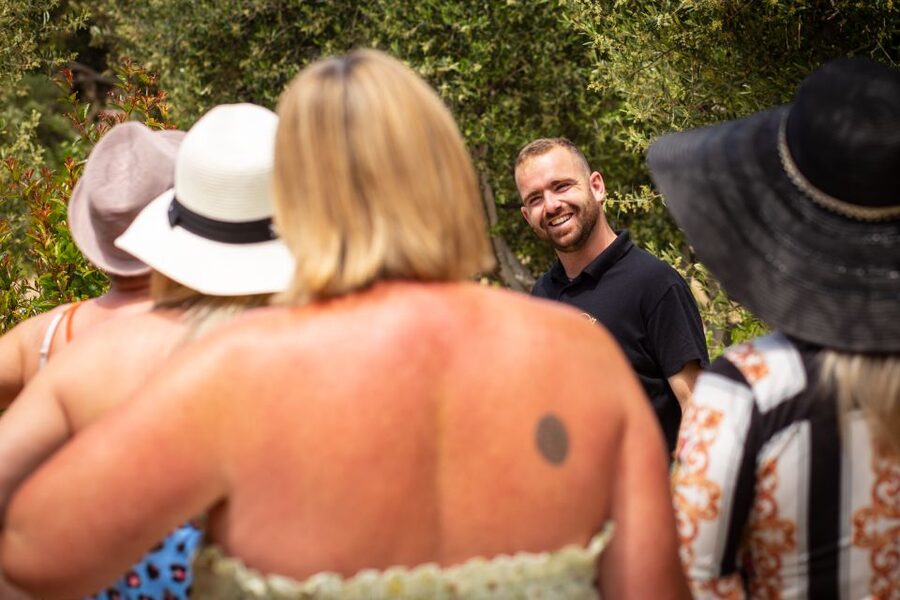 Mykonos: Winery Vineyard Experience with Food & Wine Tasting - The Mykonian wine and food tasting