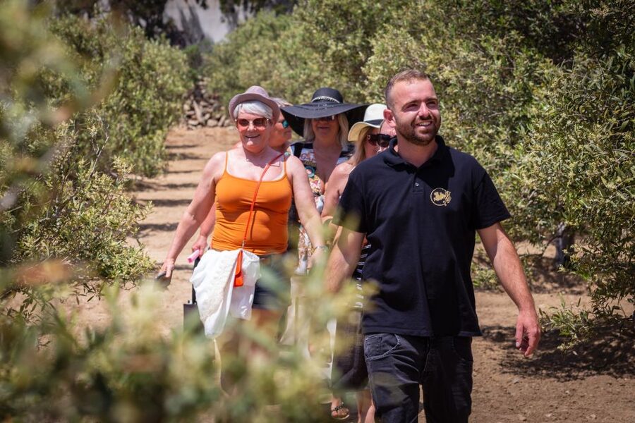 Mykonos: Winery Vineyard Experience with Food & Wine Tasting - What $80 gets you