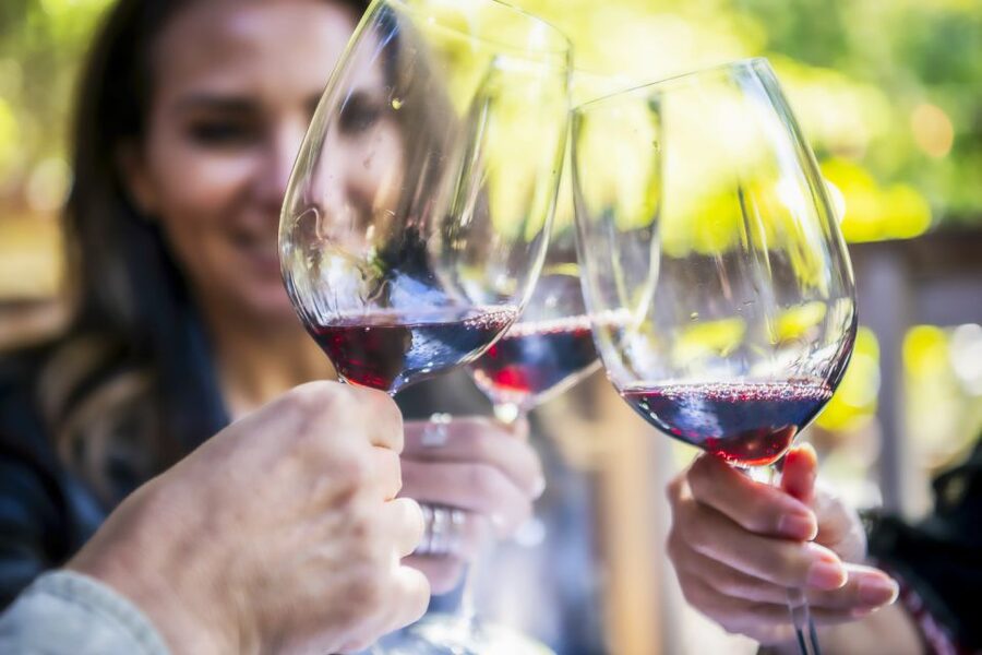 Napa Valley: Guided Wine Tour with Picnic Lunch - Why small wineries make this Napa day different