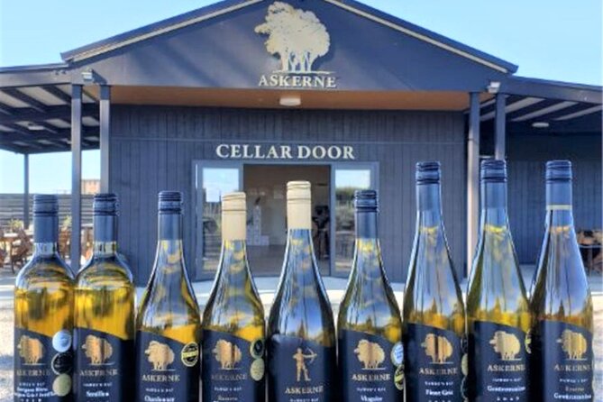 Napier: Afternoon Wine Tasting + visit Silky Oaks Chocolates - Ross is the main reason the tour feels personal