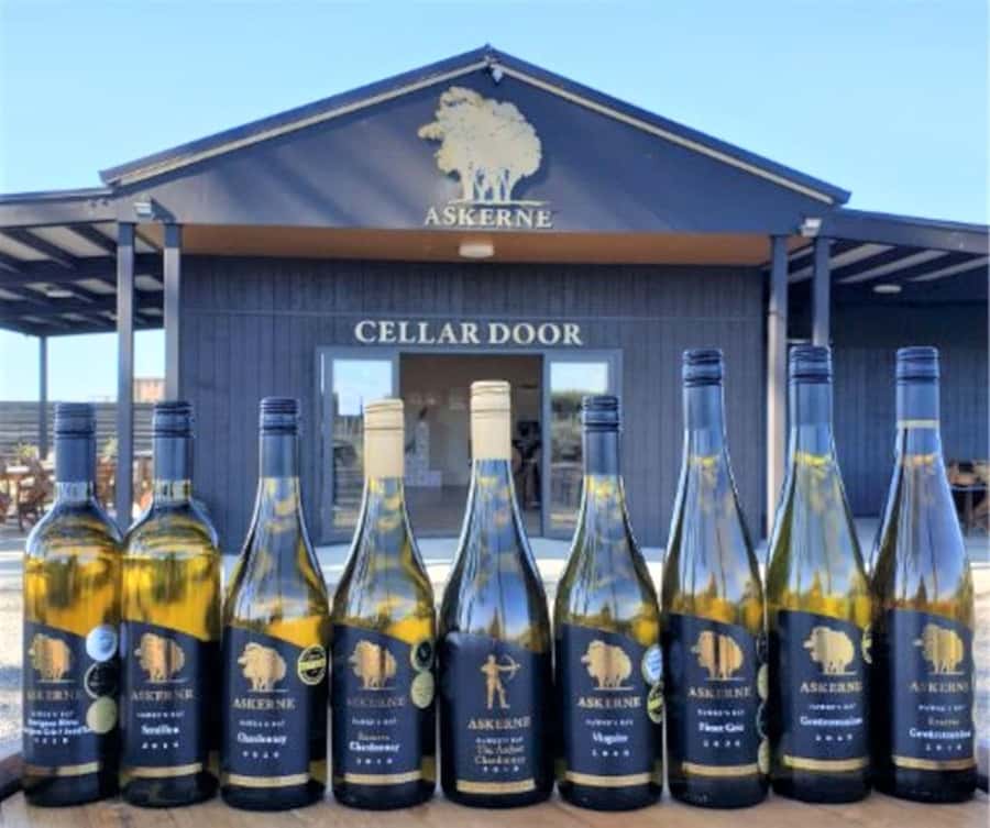 Napier: Afternoon Winery Tour Tasting at 3 Great Wineries - Gimblett Gravels explains why the ground matters
