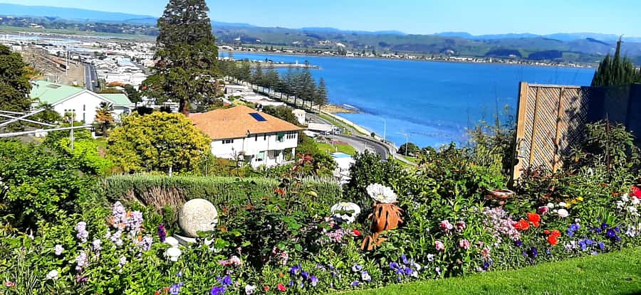 Napier: Art-Deco + Te Mata Peak+ Garden Walk + Wine Tasting - Key points before you book
