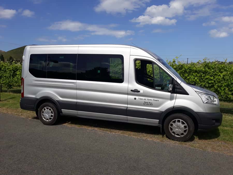 Napier: Art-Deco + Te Mata Peak+ Garden Walk + Wine Tasting - Who will get the most from this tour