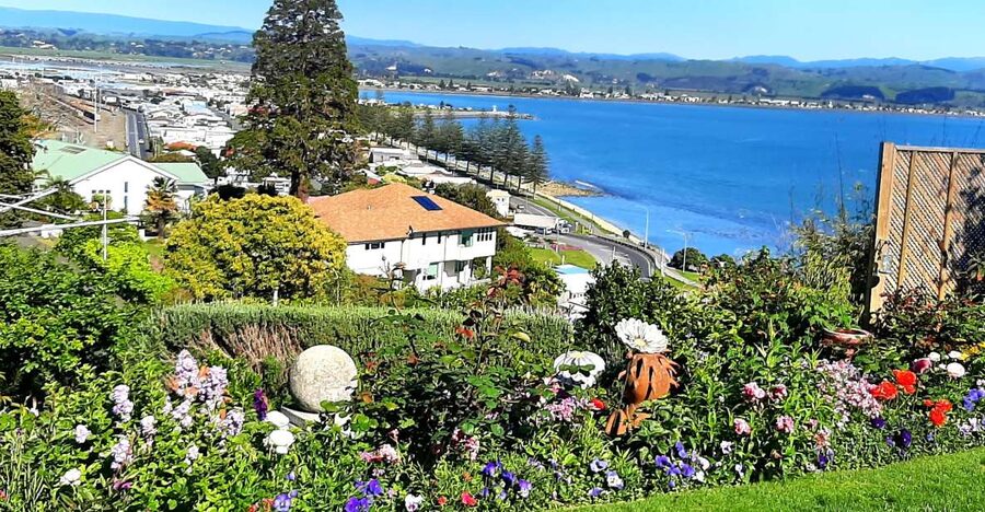 Napier: Art-Deco + Te Mata Peak+ Garden Walk + Wine Tasting - Timing, weather, and practical details