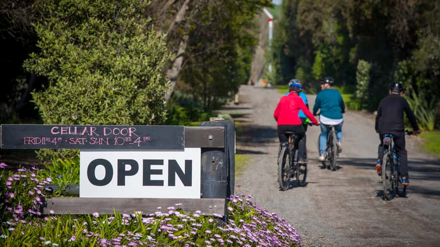 Napier: Cape Coast Winery Tour on E-Bikes - Te Mata Estate and Black Barn finish the day