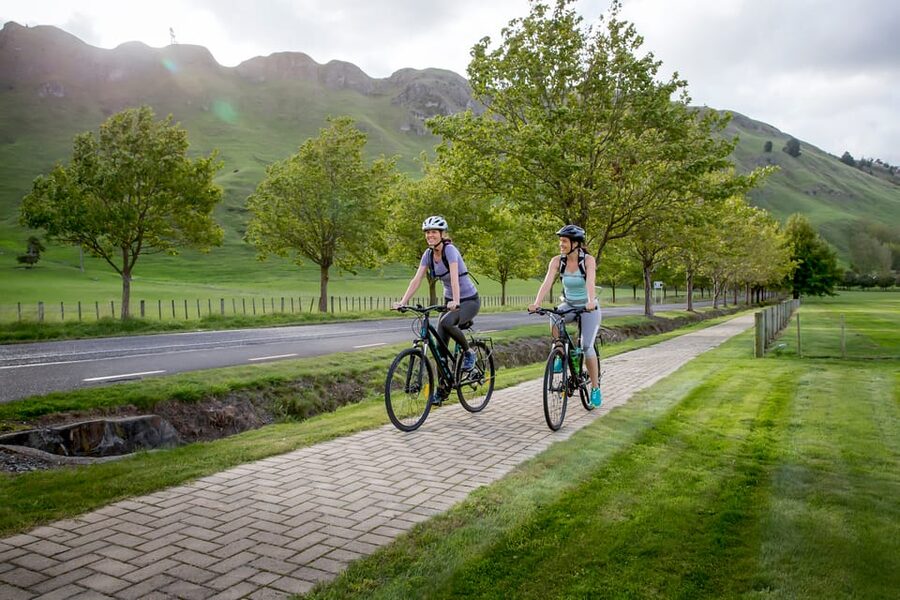 Napier: Cape Coast Winery Tour on E-Bikes - How much value do you get for NZD 89?