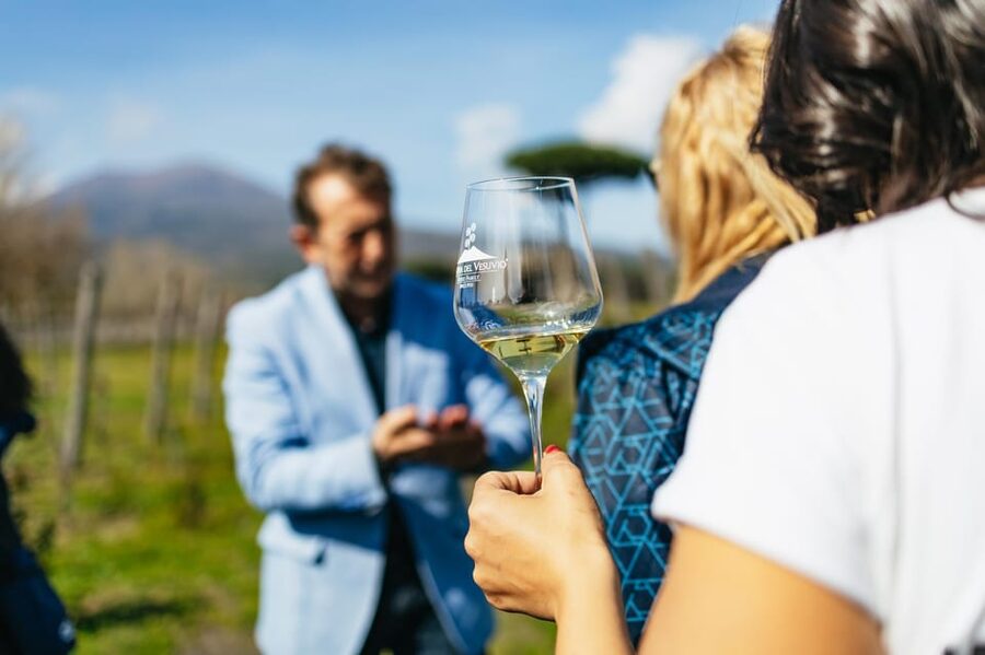 Naples: Pompeii and Mt. Vesuvius with Lunch and Wine Tasting - Pickup in Naples and the ride south