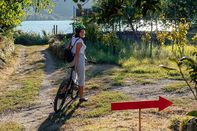 Naples Scenic E-Bike Ride to a Local Vineyard with Meal - Is the $95.58 price good value?