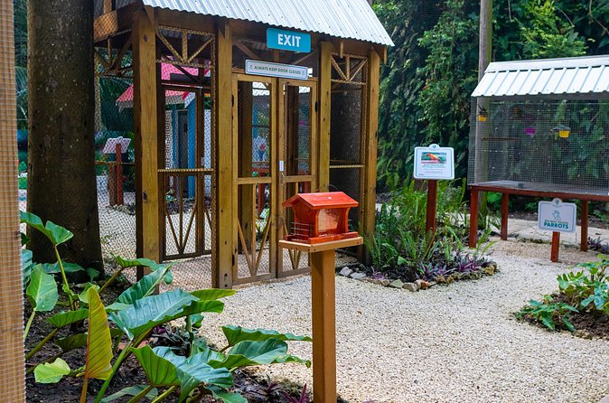 Nature Trail, Tram & Rum Tasting at Harrison's Cave by Chukka - Lunch by the pool