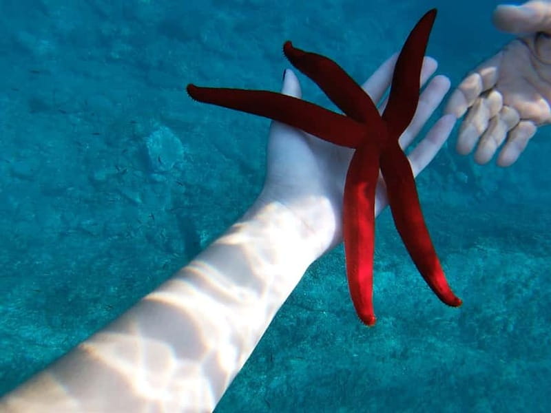 Naxos: Taormina Boat Tour with Snorkeling and Prosecco - Why seeing Taormina from the sea changes the day
