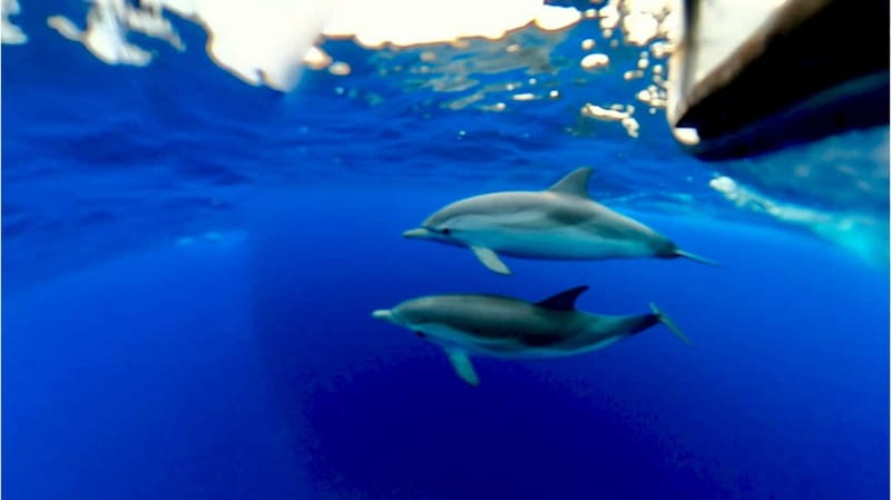 Naxos: Taormina Boat Tour with Snorkeling and Prosecco - Prosecco, fruit, and a Sicilian snack break