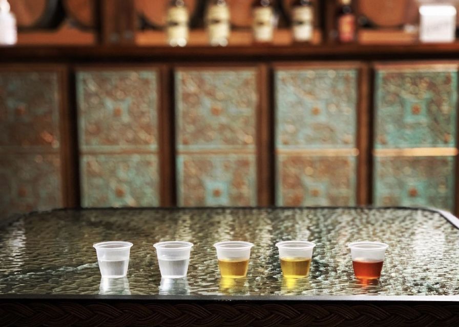 New Orleans: Guided Rum Distillery Tour and Tasting - The opening lesson: sugar cane and the story of rum