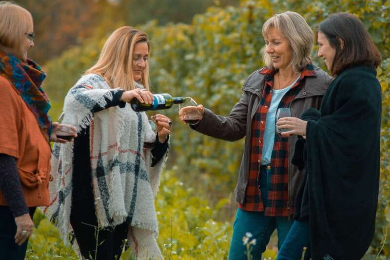 Niagara, Canada: Half-Day Winery Tour with Tastings - What to expect at the winery stops