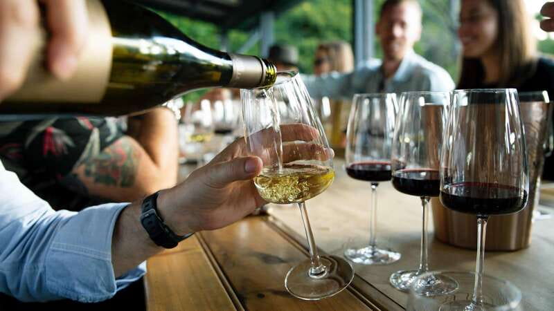 Niagara Falls: Winter Niagara Wine Tour with Transportation - Wayne Gretzky and Trius without included tastings