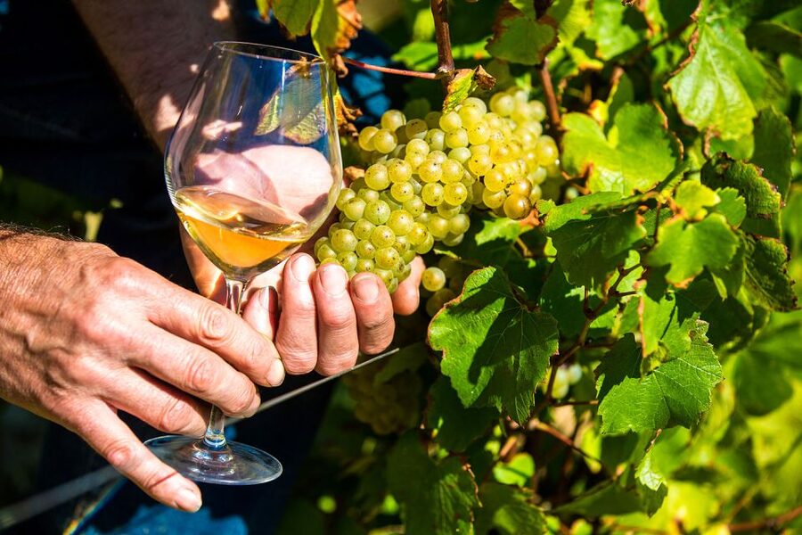 Nice: Provence Village Tour with Wine and Produce Tasting - Key points to know before you book