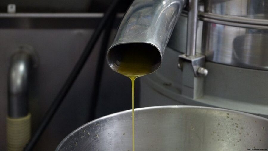 Nice: Provence Village Tour with Wine and Produce Tasting - Why this Nice day trip works so well