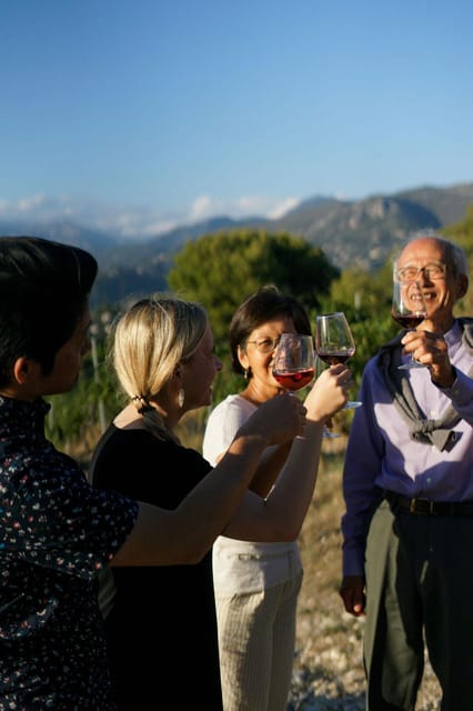 Nice: Vineyard Tour with Wine Tasting - From grape pressing to storage in the production area