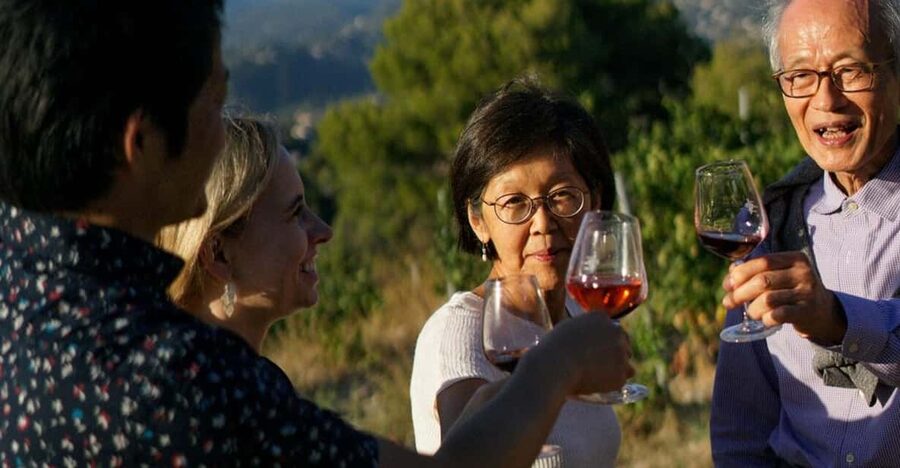 Nice: Vineyard Tour with Wine Tasting - Seeing how sea air, mountain winds, and soil affect the grapes
