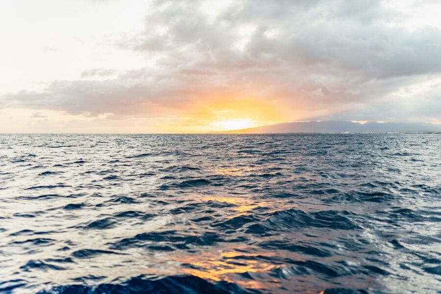 Oahu: Waikiki Sunset Catamaran Cocktail Cruise - Key points to know before you book