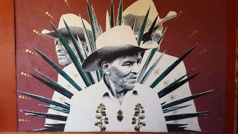 Oaxaca: Mezcal Adventure - Should you book the Oaxaca Mezcal Adventure?