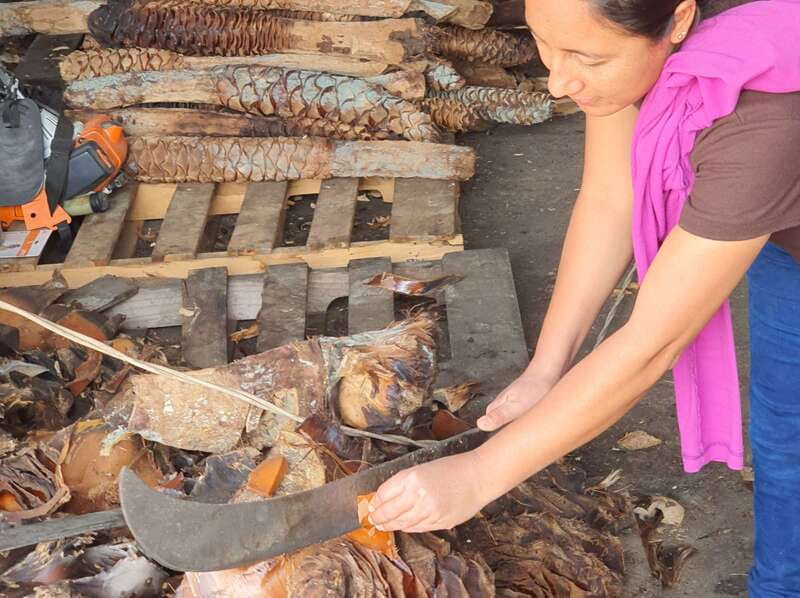 Oaxaca: Mezcal Adventure - Who will enjoy this mezcal day