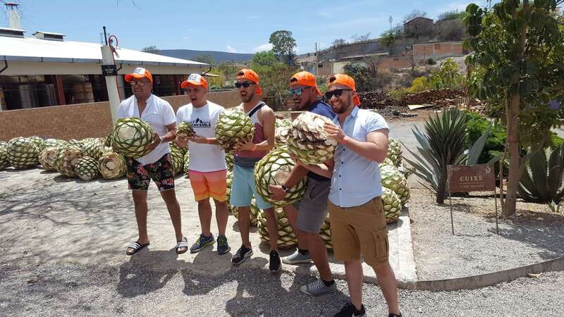 Oaxaca: Mezcal Adventure - Reading an agave plant before tasting mezcal