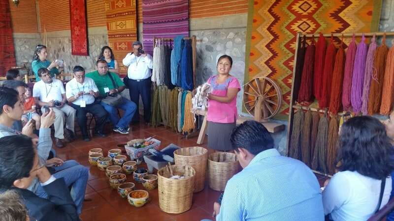 Oaxaca: Tule, Mitla & Hierve el Agua, & Mezcal Tour - Key points to know before booking