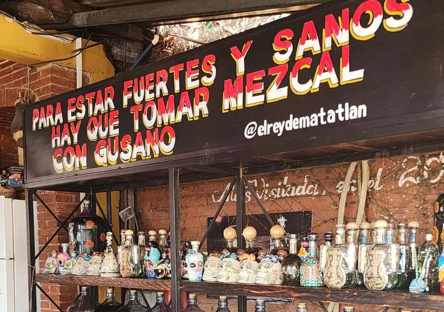 Oaxaca: Tule, Mitla & Hierve el Agua, & Mezcal Tour - Hierve el Agua, the day’s big payoff