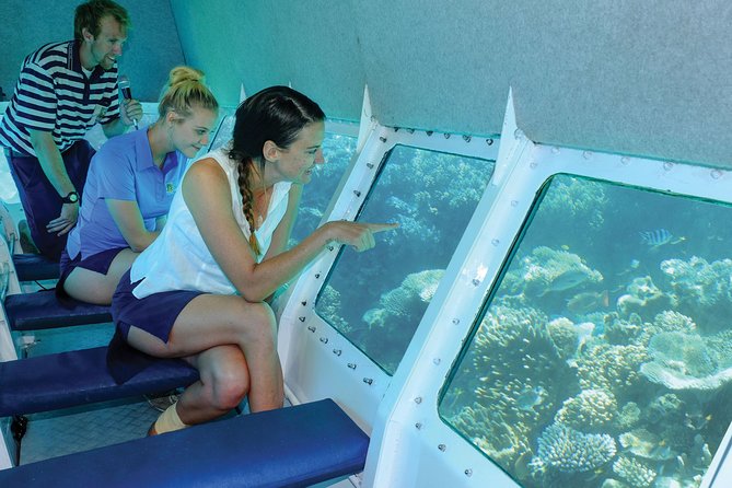 Ocean Spirit Sail to Michaelmas Cay Snorkel or Dive, from Cairns - Who should book this trip?