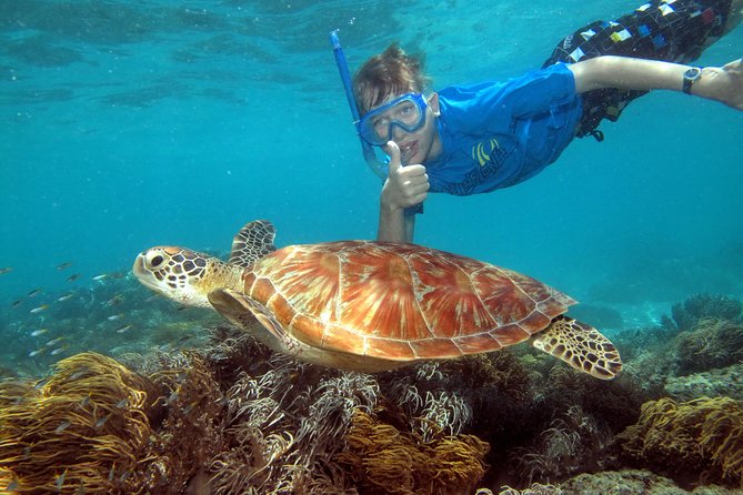Ocean Spirit Sail to Michaelmas Cay Snorkel or Dive, from Cairns - The 8:30am departure and two-hour crossing