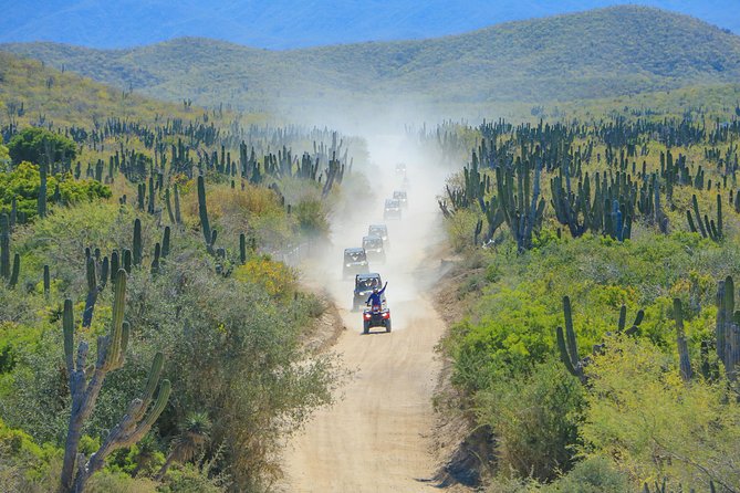 OffRoad 4X4 UTV Adventure with unlimited Lunch & Tequila - Riding through arroyos, canyons, and coastal dirt