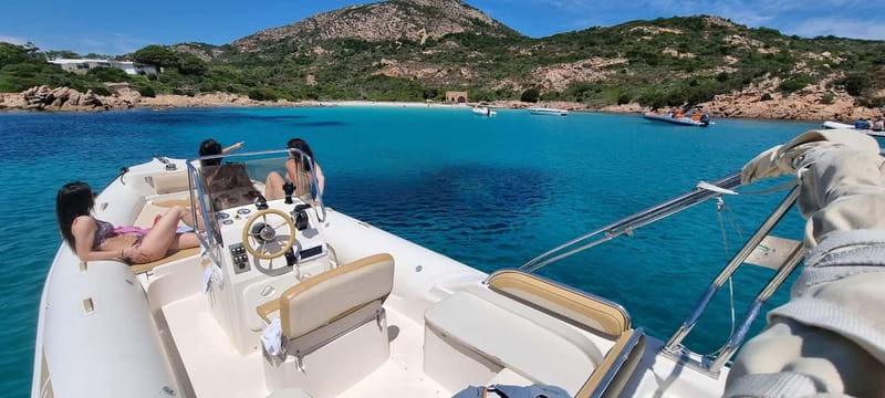 Olbia: Dolphin Watching & Swim with prosecco aperitif - Key points at a glance