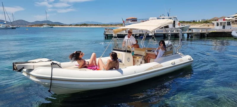 Olbia: Dolphin Watching & Swim with prosecco aperitif - Dolphins first, with Figarolo Island as the target