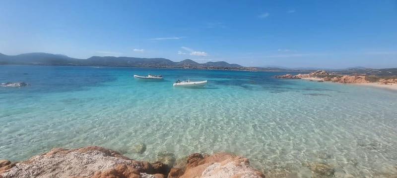 Olbia: Dolphin Watching & Swim with prosecco aperitif - What the 3.5-hour itinerary feels like