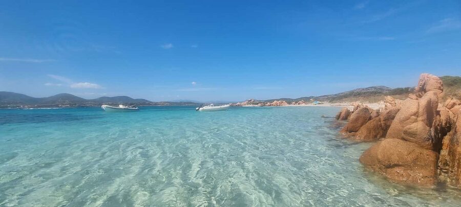 Olbia: Dolphin Watching & Swim with prosecco aperitif - Swimming, music, and the small extras