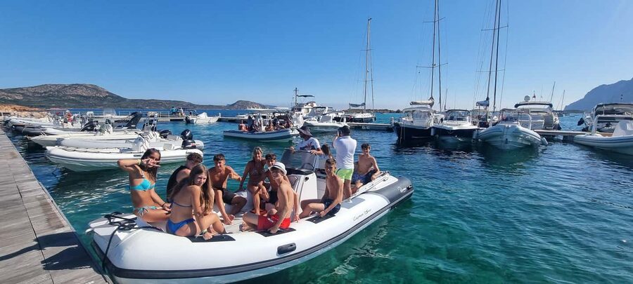 Olbia: Dolphin Watching & Swim with prosecco aperitif - How much value do you get for $71?