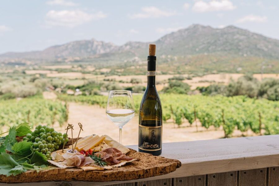Olbia: Gallura Winery Guided Tour with Tasting - Key points at a glance